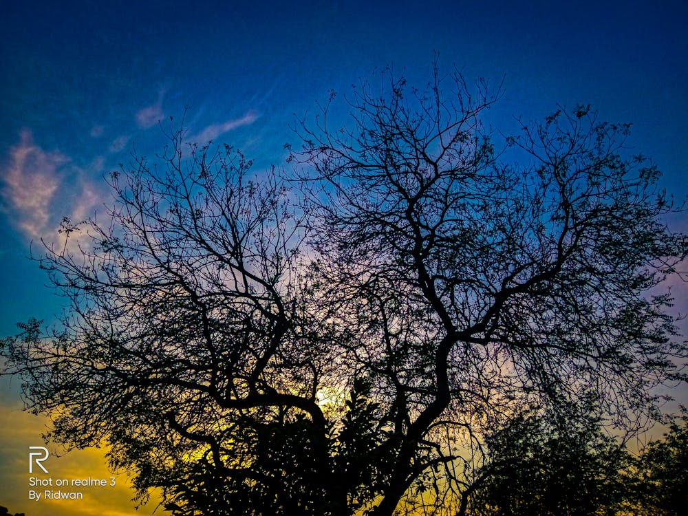 Senior Claims Assessment Specialist